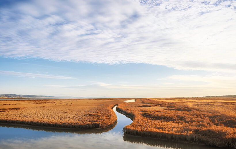 Karavasta Lagoon & Apollonia Acient City - Full Day Tour